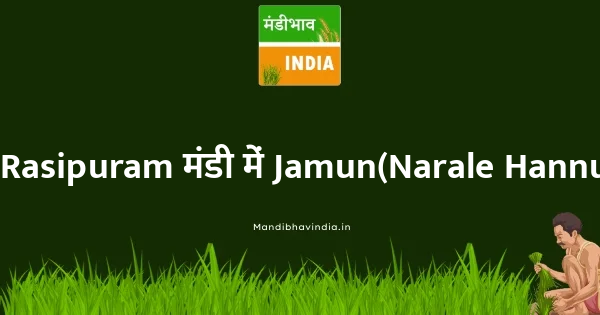 Jamun(Narale Hannu) भाव